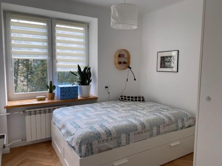 Appartement Pajczur - 40m2